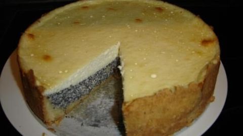 Eine Mohntorte auf einem weißen Teller, ein Stück fehlt, zeigt saftige Mohnfüllung in einem hellen Teigmantel.
