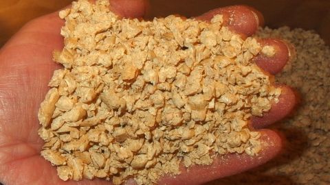 Eine Hand hält Holz-Pellets, während sie in einem natürlichen, hellen Umfeld präsentiert werden, ideal als Katzenstreu.