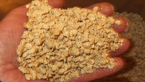 Holz-Pellets: Bestes Katzenstreu - Duft der Mutter Natur