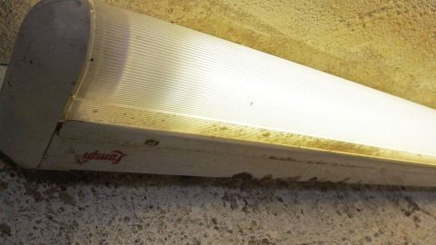 Eine Leuchtstoffröhre leuchtet in einem leicht staubigen Raum, wobei die Lebensdauer der Röhren verbessert werden kann.