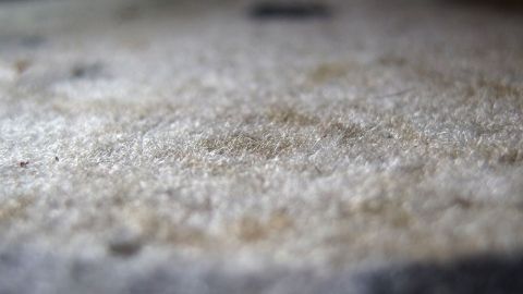 Ein schmutziger Teppich zeigt mehrere Flecken auf der Oberfläche, die in einem hellen und gedämpften Raum sichtbar sind.