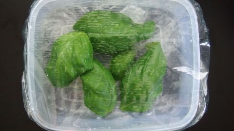 Basilikumblätter liegen frisch in einem Plastikbehälter, abgedeckt mit Frischhaltefolie, auf schwarzem Untergrund.