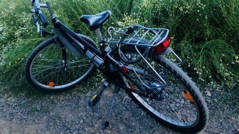 Ein Fahrrad liegt entspannt auf einem Weg, umgeben von blühenden Wiesen und einem weiten Feld im Hintergrund.