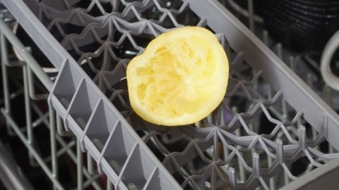 Ausgepresste Zitrone gegen "Spülmaschinen-Muffel"
