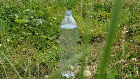 Eine Wasserflasche steht im hohen Gras, um Katzen fernzuhalten und einen ruhigen Gartenbereich zu sichern.
