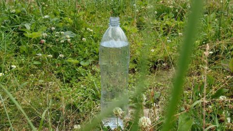 Katzen mit Wasserflaschen fernhalten