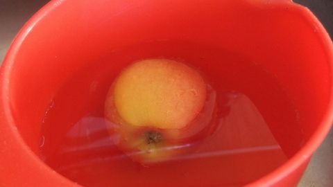 Maden aus Obst ganz einfach entfernen, indem man das Obst ein paar Minuten in Wasser taucht. Ein roter Behälter mit Wasser enthält einen Apfel, der schwimmt, um Maden aus Obst zu entfernen.