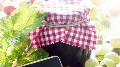 Diese selbst gemachte rote Stachelbeer-Konfitüre eignet sich gut, um Hefegebäck zu verfeinern: Hefeklöschen mit Konfitüre füllen und genießen. Oder etwas Marmelade mit frischen Früchten und Milch, Kefir oder Buttermilch im Mixer mixen und schlemmen!