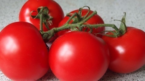 Tomaten richtig aufbewahren
