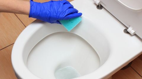Hartnäckiger Kalk kann jedes Toilettenbecken stark beeinträchtigen. In diesem Artikel erfährst Du effektive Tipps zur Reinigung und Vorbeugung gegen Kalkablagerungen für ein sauberes Toilettenbecken. Eine Hand mit blauer Handschuh hält einen Schwamm und reinigt ein Toilettenbecken, um hartnäckigen Kalk zu beseitigen.