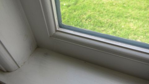 Weiße Holzfenster mit weißen Silikonfugen verschmutzen schnell. Mithilfe von Waschpulver wird alles wieder schön weiß. Weiße Holzfenster mit einer weißen Silikonfuge zeigen eine gepflegte Fensterbank, umgeben von grünem Gras im Freien.