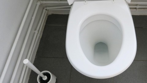Ränder im WC mit Scheuerpulver und Korken entfernen