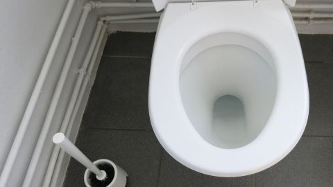 Hässliche Ränder in der Toilette mit einem Korken und Scheuerpulver erfolgreich entfernen. Ein weißesWC mit einer Toilettenbürste daneben, in einem modernen Badezimmer. Ränder können hier mit Scheuerpulver behandelt werden.