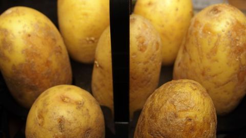 Kleine Pellkartoffeln kann man alternativ auch besonders schnell im Eierkocher kochen. Pellkartoffeln liegen in einem Eierkocher, während sie garen, um eine einfache Beilage zuzubereiten.