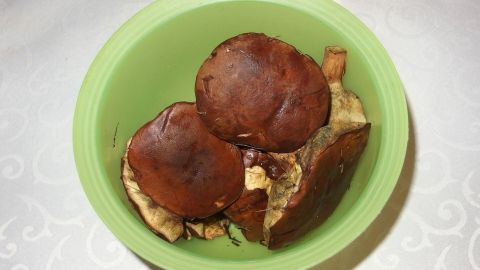 Pfifferlinge liegen in einer grünen Schüssel und warten darauf, gewaschen zu werden, um für das Kochen vorbereitet zu werden.