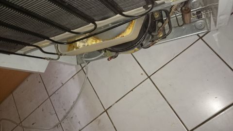 Ein Kühlschrank steht auf einem Fliesenboden, Wasser befindet sich im Auffangbehälter und riecht unangenehm.