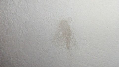 Mithilfe von Löschpapier lassen sich Fettflecken von Wänden entfernen. Ein kleiner Fettfleck ist auf einer weißen Wand sichtbar, der das saubere Erscheinungsbild der Wand beeinträchtigt.