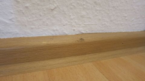 Mit diesem Tipp vermeidet man, dass schwarze Streifen beim Staubsaugen an den Sockelleisten entstehen. Sockelleisten aus Holz stehen sauber und ohne Streifen, während der helle Boden und die weiße Wand den Raum auflockern.