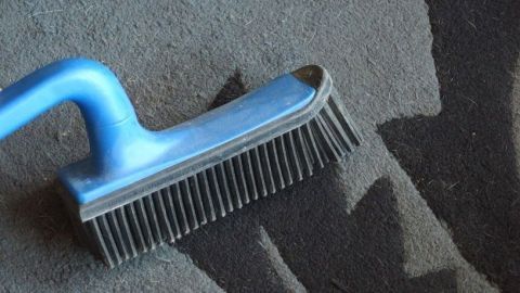 Ein blauer Gummibesen liegt auf einem Teppich und entfernt Tierhaare. Der Teppich hat eine strukturierten Oberfläche.