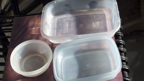 Verfärbte und verformte Tupperware-Behälter stehen auf einem Tisch, umgeben von natürlichem Licht und Schatten.