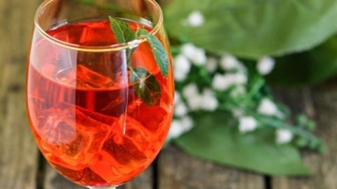 Ein farbenfrohes Getränk, Ran-Rot-Ice, steht in einem eleganten Glas auf einem rustikalen Holztisch, umgeben von grünen Blättern.