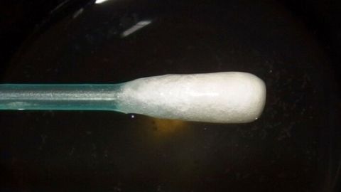 Ein Wattebausch steht auf einem grünen Stäbchen und reflektiert Licht, während er vor einem dunklen Hintergrund platziert ist.