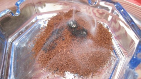 Wespen vertreiben mit Kaffeepulver