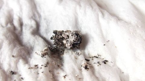 Ein dunkler Farbrest liegt auf einem weißen Tuch, während Haarfärbung auf der Haut möglicherweise Rückstände hinterlässt.