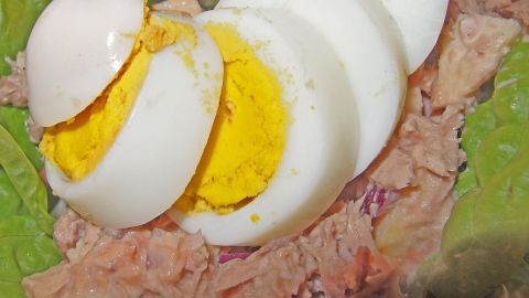 Auf einem grünen Blatt liegt ein Thunfischsalat, garniert mit Scheiben von hartgekochtem Ei, appetitlich angerichtet.
