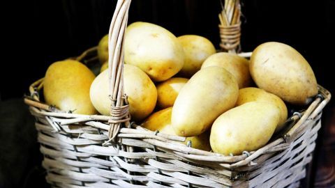 Mit diesem einfachen Trick schmecken gekochte Pellkartoffeln vom Vortag, wie frisch gekocht. Ein Korb mit frischen Kartoffeln liegt auf einem dunklen Holzuntergrund und wartet darauf, verwendet zu werden.