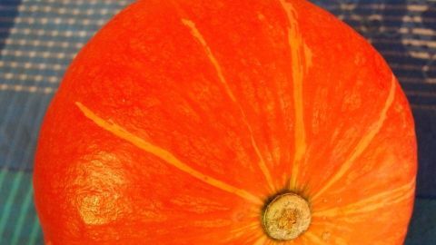 Ein orangefarbener Kürbis liegt auf einer karierten blauen Unterlage, bereit für die Halloween-Dekoration.