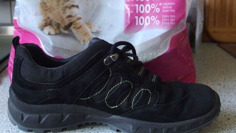 Schwarze Turnschuhe stehen neben einer Packung Katzenstreu auf einer küchenähnlichen Oberfläche, bereit für den Einsatz.
