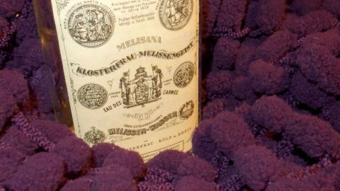 Eine Flasche Melissengeist steht von samtigen lila Kräuterhaufen umgeben, was eine beruhigende und natürliche Atmosphäre schafft.