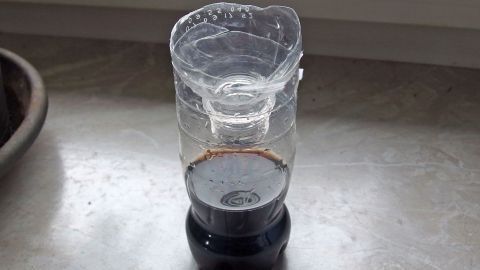 Eine PET-Flasche steht auf einer Oberfläche, umgeben von wenig Licht. Oben ist sie verkehrt hinein gesteckt, um eine Falle zu bilden.