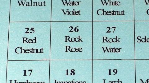 Eine Tabelle zeigt verschiedene Bachblüten wie "Red Chestnut" und "Rock Rose" zur Heilung bei verstopfter Nase.