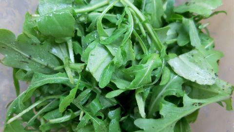 Rucola-Frischetest