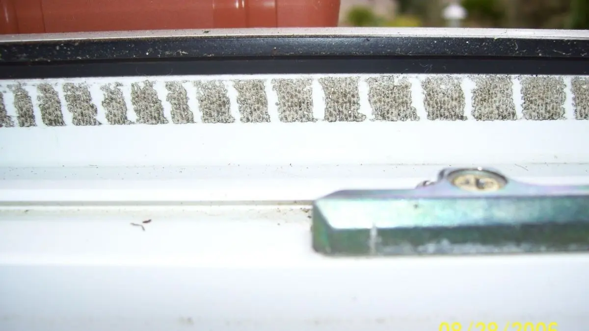 Ein Fliegengitter liegt am Fenster, w&auml;hrend jemand versucht, Klebereste zu entfernen, um die Sicht zu verbessern.