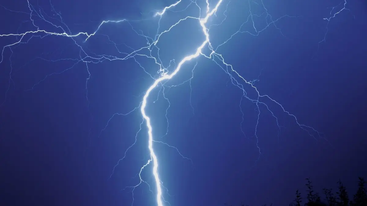 Ein heller Blitz zuckt durch den dunklen Himmel w&auml;hrend eines Gewitters, umgeben von d&uuml;steren Wolken und silhouettenhaften B&auml;umen.