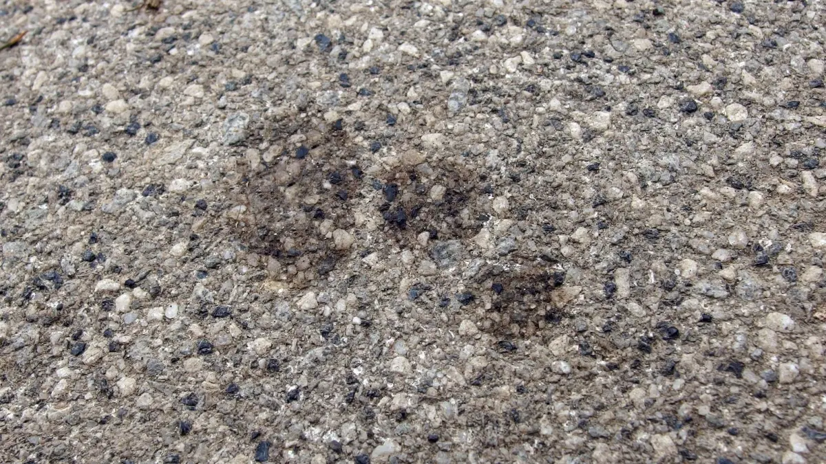 Ein Garagenboden mit dunklen &Ouml;lflecken zeigt die Auswirkungen von Verschmutzungen, die durch Cola entfernt werden sollen.