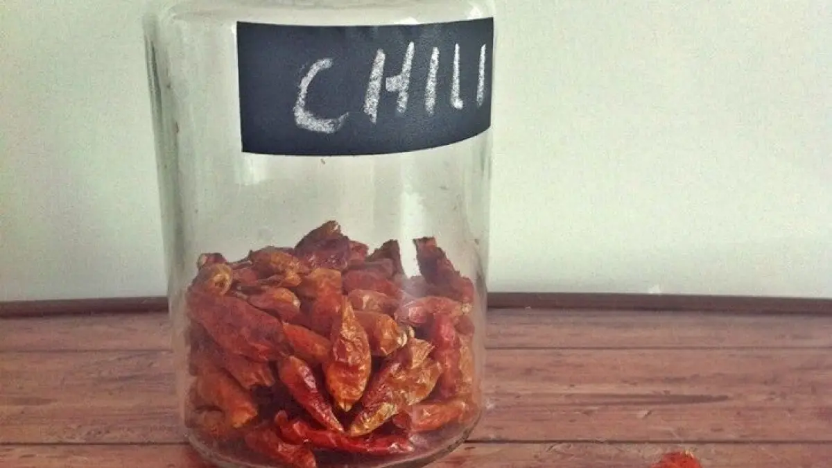 Ein Glas mit getrockneten Chilis steht auf einem Holztisch, w&auml;hrend einige Chilis daneben liegen, ideal zum Chili schneiden.