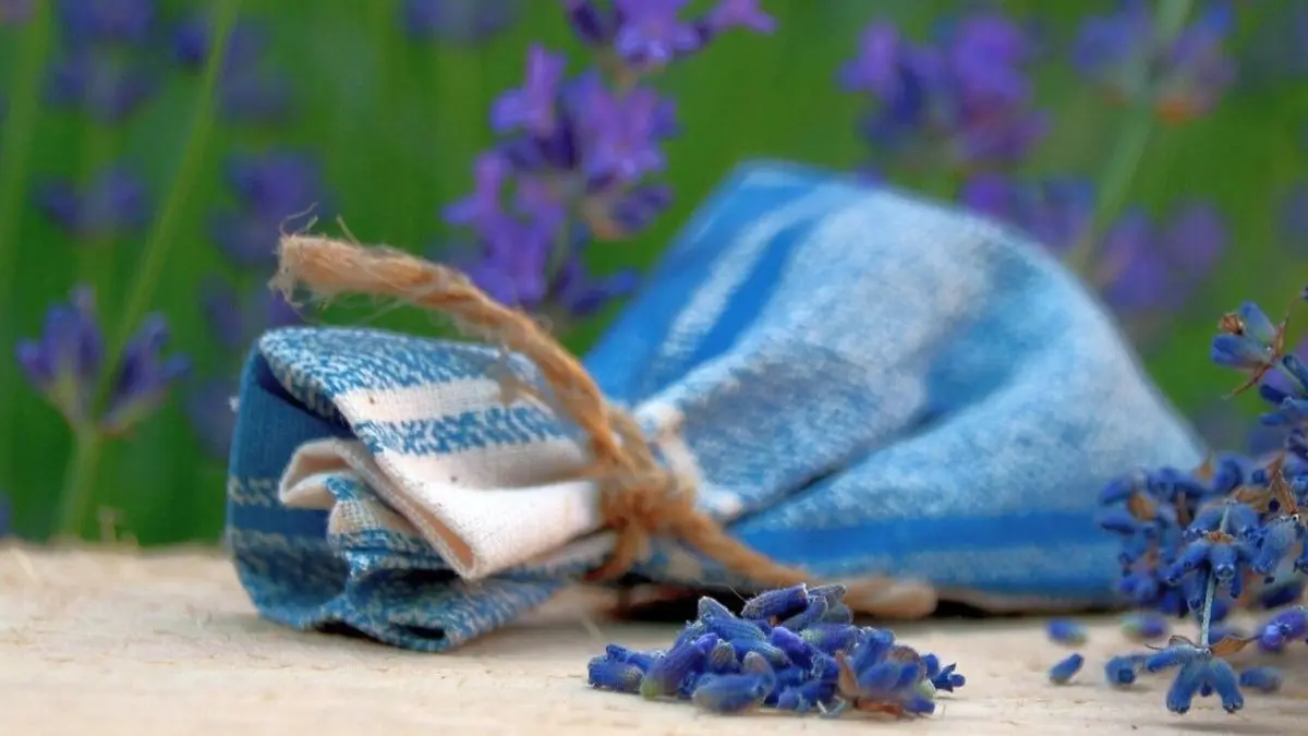 Mit selbstgemachten Lavendels&auml;ckchen bringst du frischen Duft in dein Zuhause und nutzt Lavendel direkt aus dem Garten.