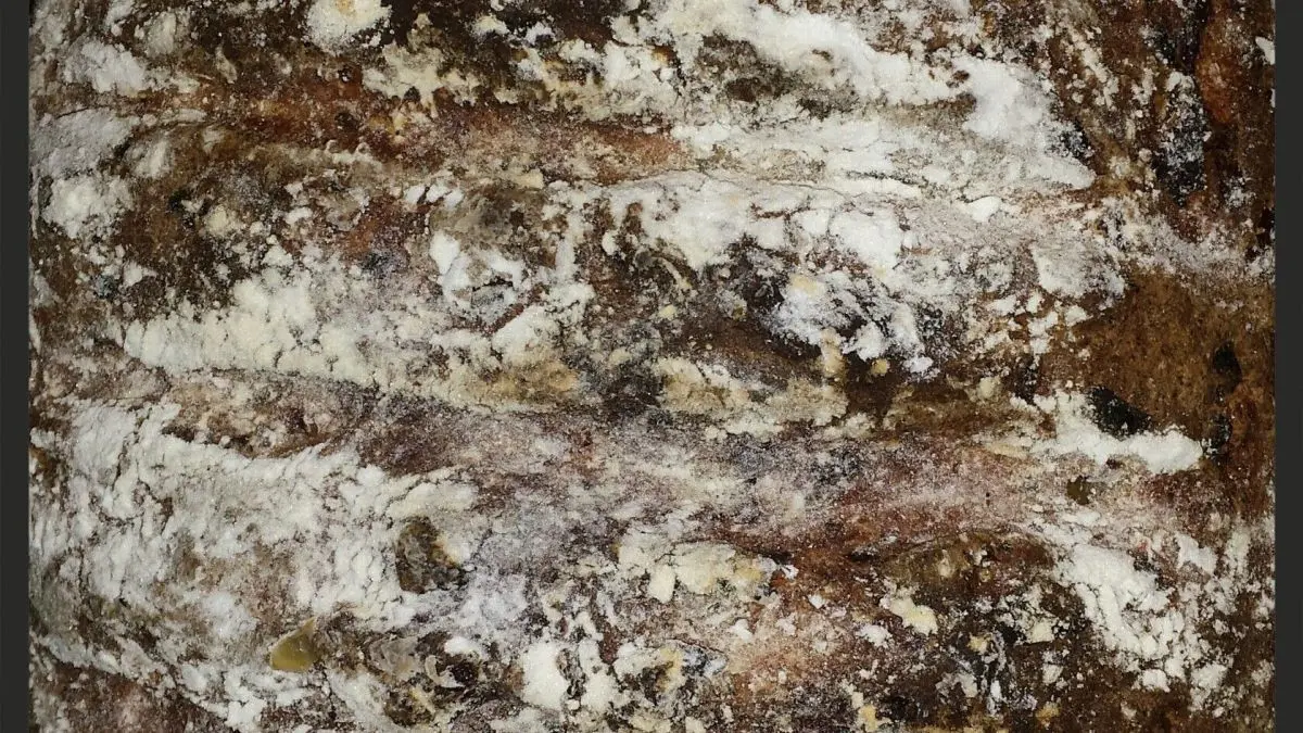 Herzhaftes Gourmetbrot: So gelingt dir glutenfreies und laktosefreies Brot mit knuspriger Kruste und kr&auml;ftigem Geschmack.