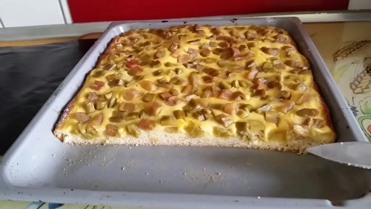 Ein frisch gebackener Rhabarberkuchen mit Hefeteig und Vanillepudding liegt auf einem Blech in einer K&uuml;che.