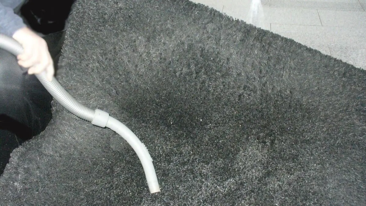 Ein Langflor-Teppich wird mit einem Staubsauger gr&uuml;ndlich gesaugt, um Schmutz und Staub zu entfernen.