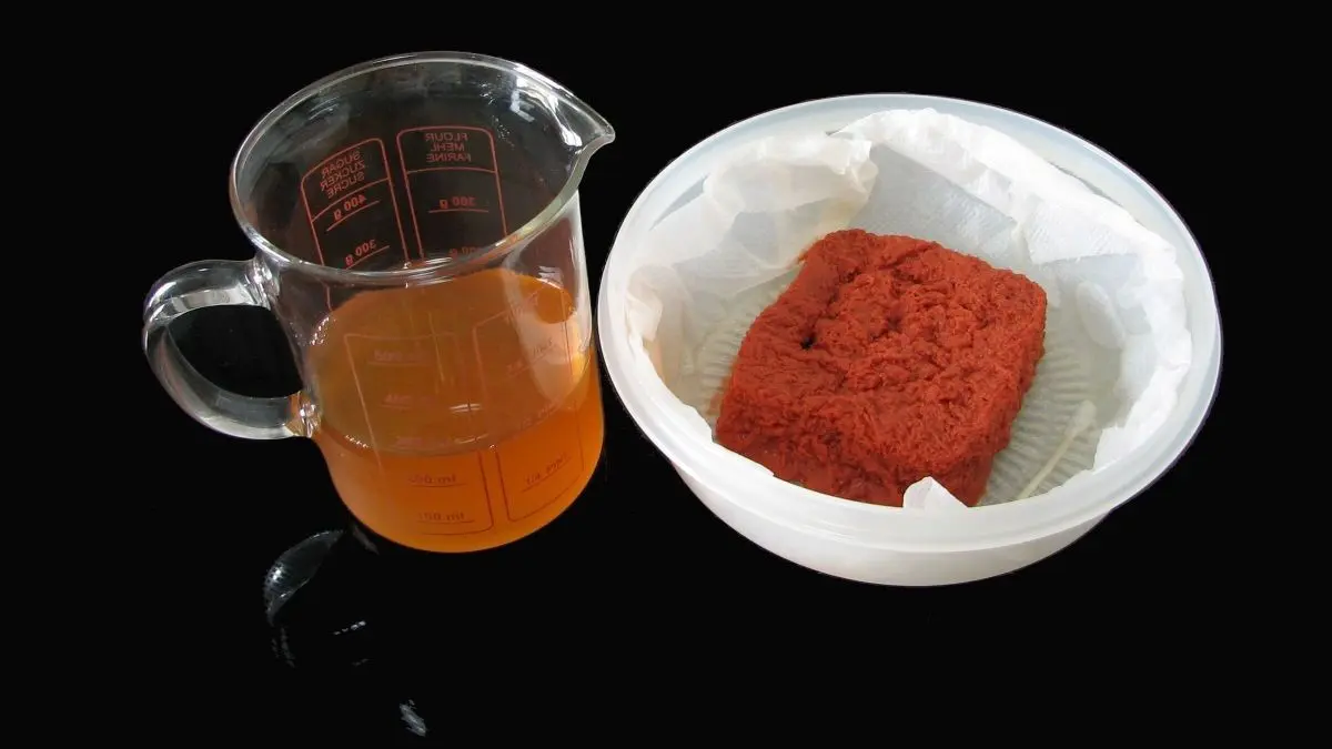 Ein Glas Tomatenmark steht neben einer Schale mit konzentriertem, rotem Tomatenmark auf schwarz.