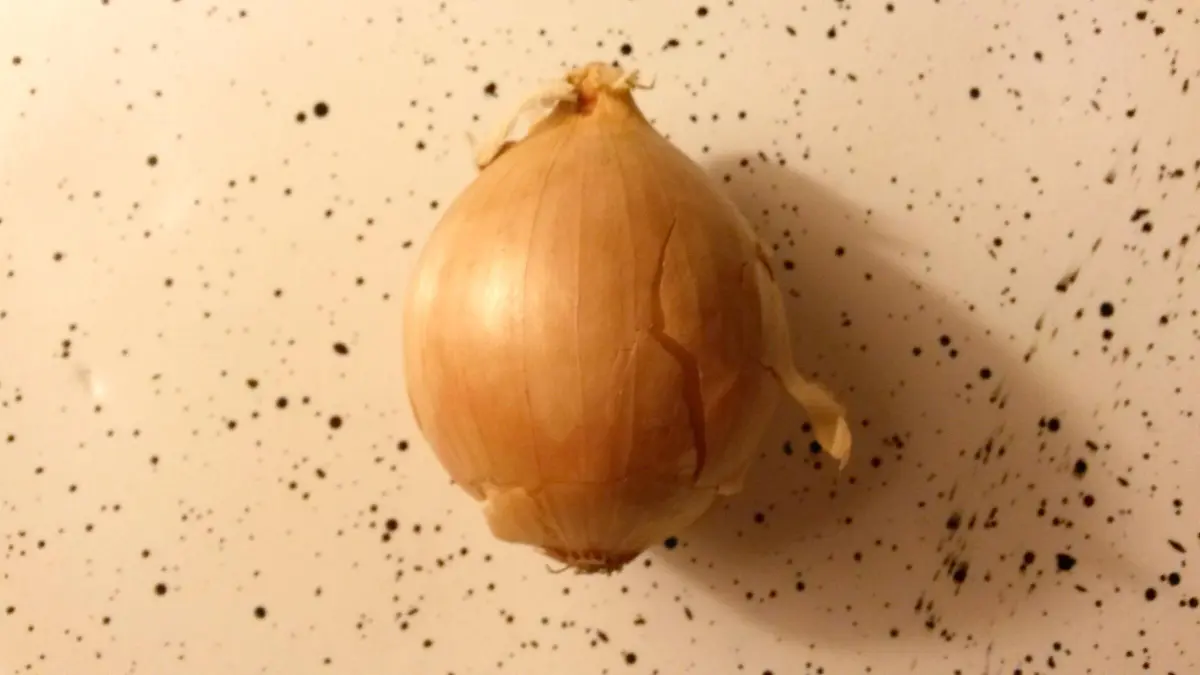 Eine rohe Zwiebel liegt auf einer gepunkteten Ablage, bereit zum Schneiden, um Tr&auml;nen beim Schneiden zu vermeiden.
