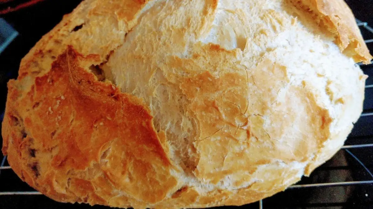 Ein frisch gebackenes Brot ruht auf einem Gitter, mit einer goldbraunen, knusprigen Kruste, die leicht aufplatzt.