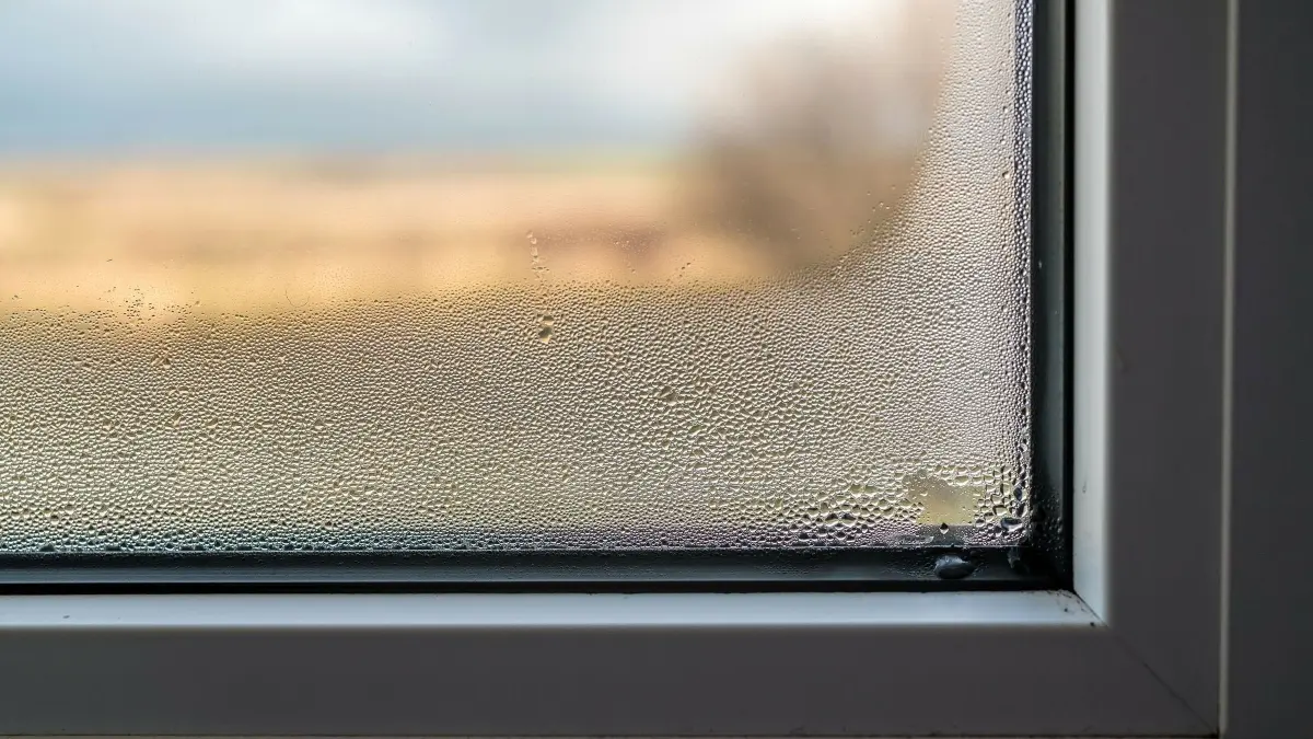 Beschlagene Fenster zeigen Kondenswasser auf der Innenseite, w&auml;hrend eine unscharfe Landschaft im Hintergrund sichtbar ist.