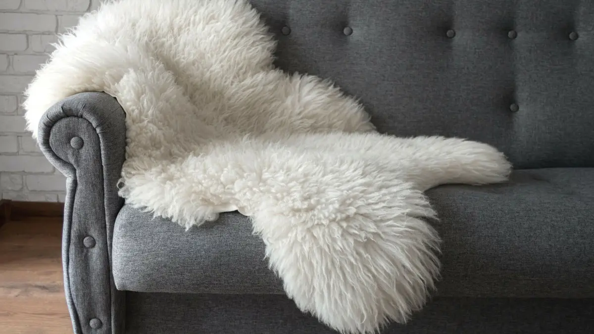 Ein wei&szlig;es Schaffell liegt l&auml;ssig auf einem grauen Sofa in einem hellen Raum, bereit zur Reinigung mit Hundeshampoo.