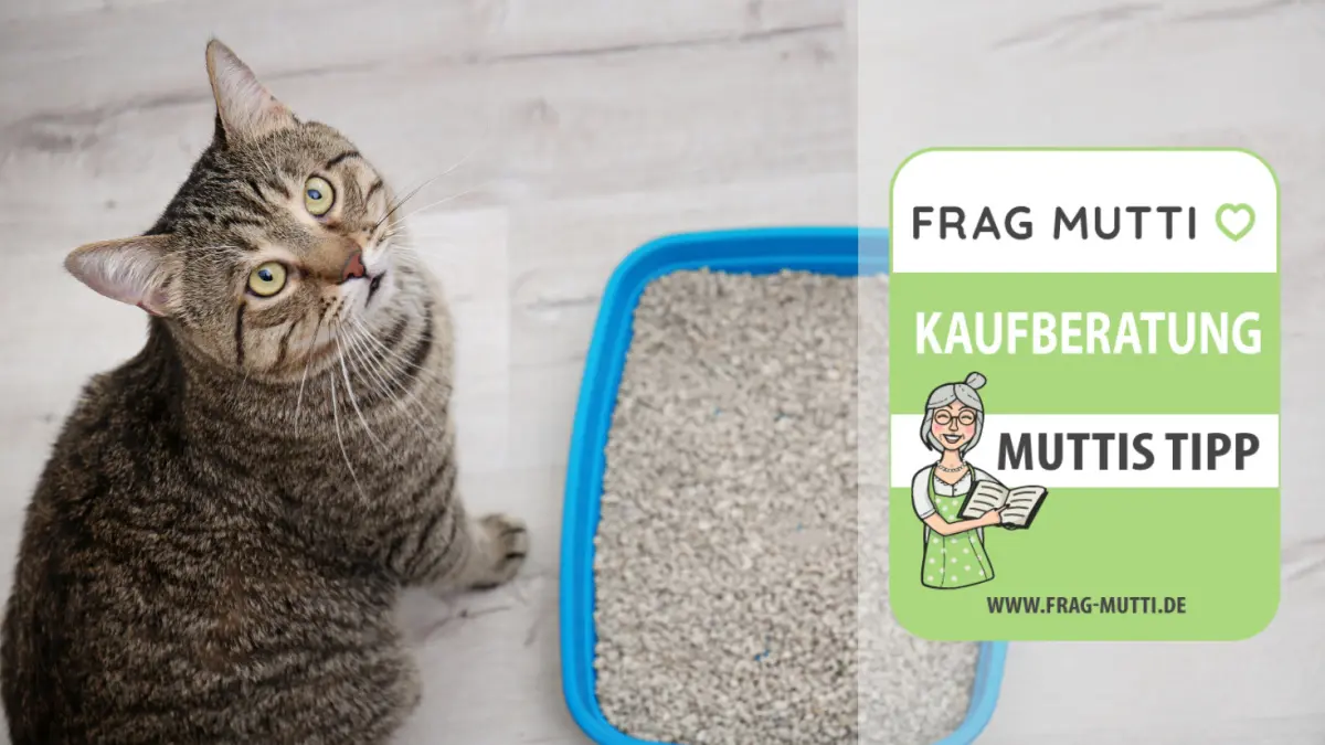 katzenstreu test